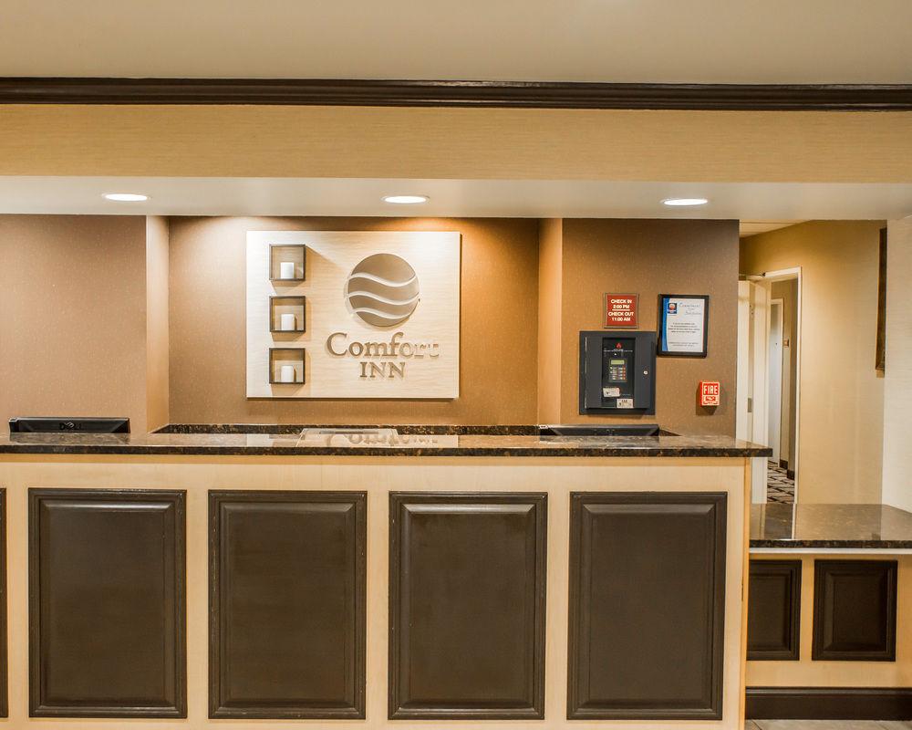 Comfort Inn Airport Turfway Road Pet Policy