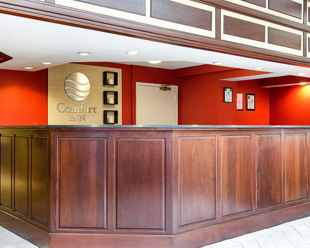 Comfort Inn University Center Pet Policy