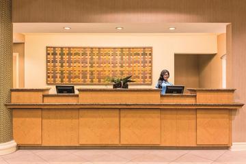 Pet Friendly Hotels In Lakeland Fl Bringfido