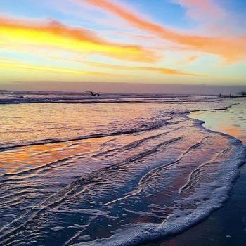Pet Friendly Hotels In New Smyrna Beach Fl Bringfido