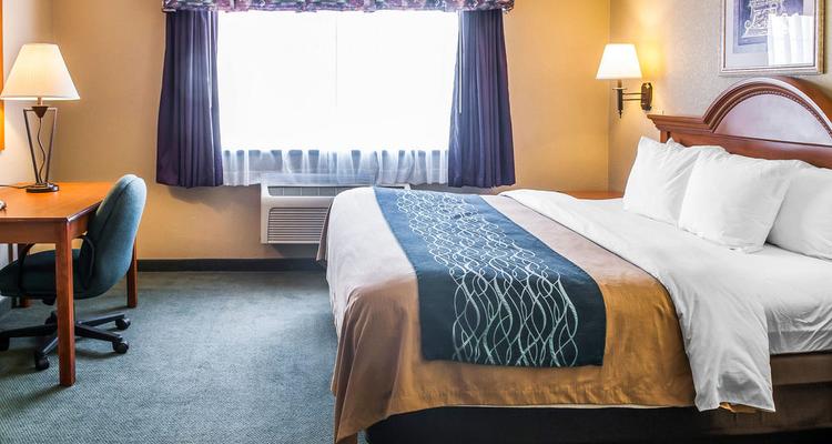 Comfort Inn Suites Las Cruces Pet Policy