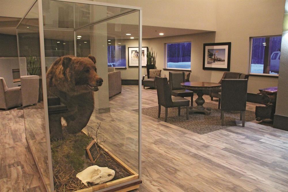 Pet Friendly Hotels In Fairbanks Ak Bring Fido - 