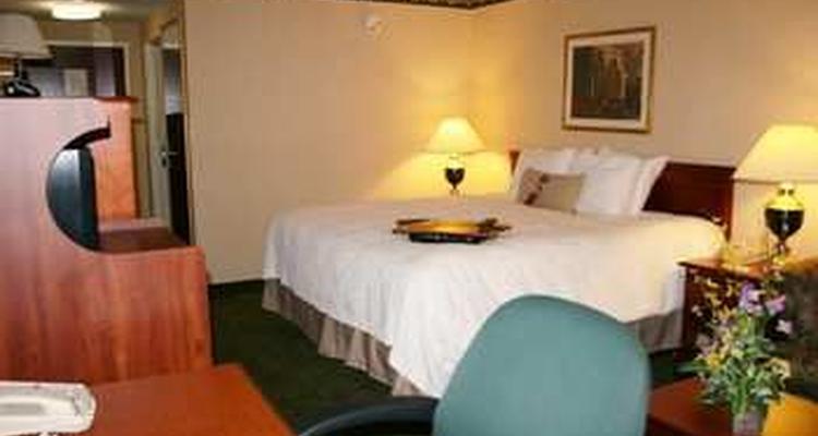 Hampton Inn Groton Pet Policy