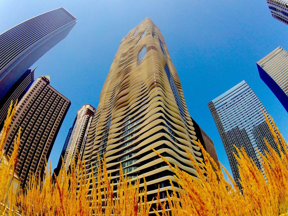 Radisson Blu Aqua Hotel Chicago Pet Policy