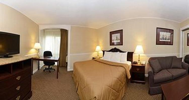 Comfort Inn Plattsburgh Pet Policy