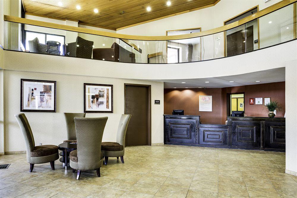 Pet Friendly Hotels In Cincinnati Oh Bringfido