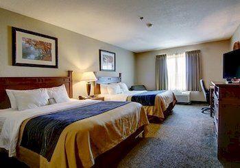 Comfort Inn Suites Blue Ridge Pet Policy