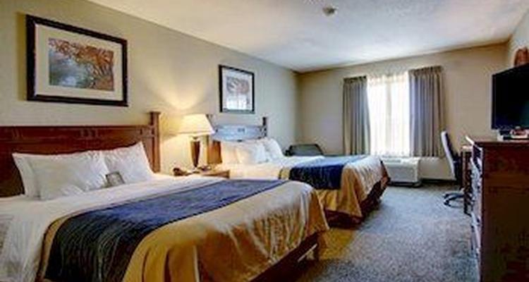 Comfort Inn Suites Blue Ridge Pet Policy