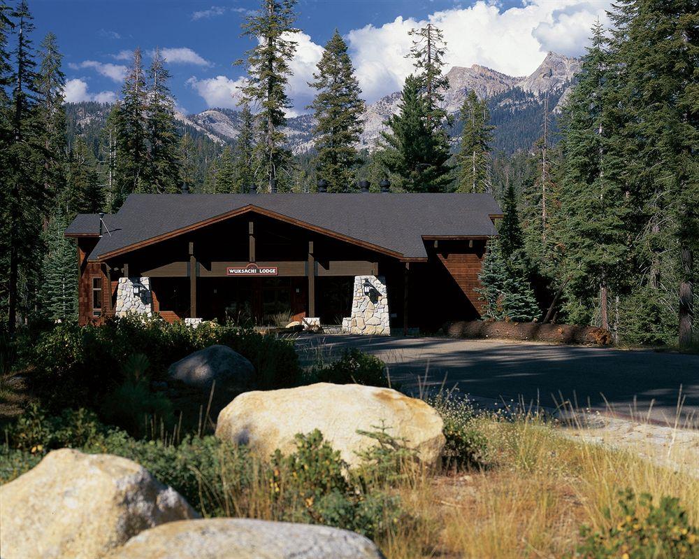 Pet Friendly Hotels In Sequoia National Park Ca Bringfido