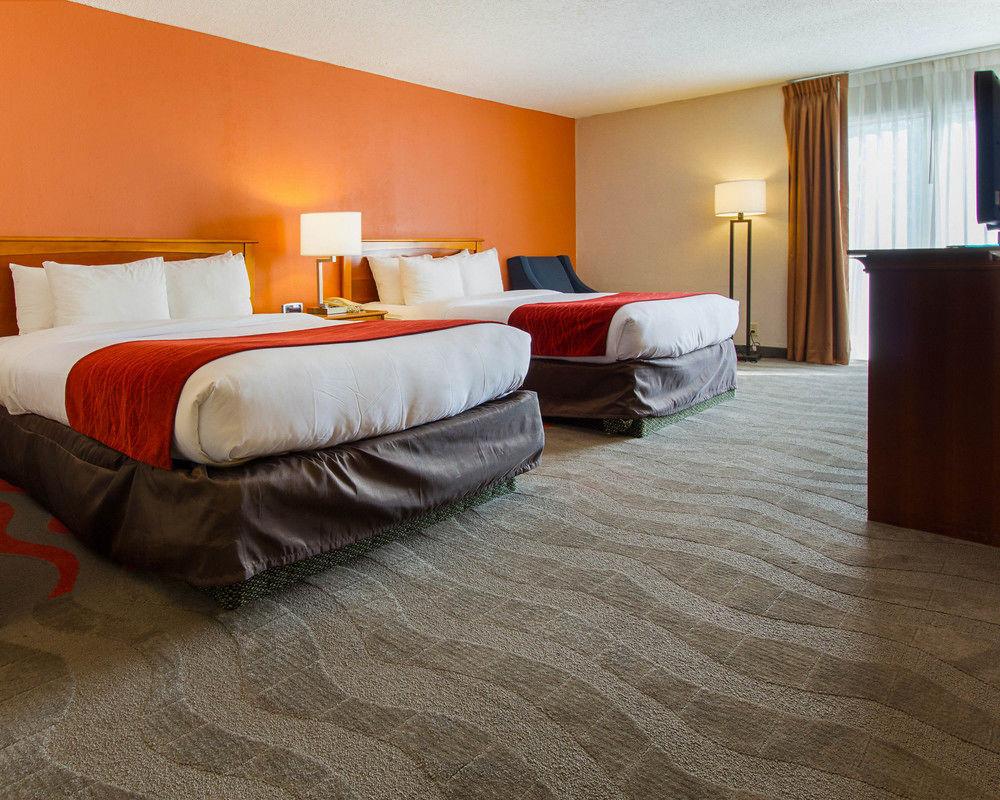 Comfort Inn Suites Syracuse Airport Pet Policy