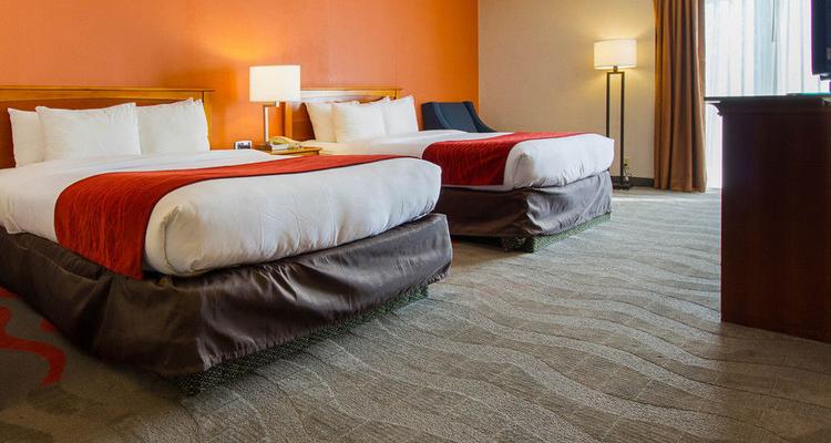 Comfort Inn Suites Syracuse Airport Pet Policy