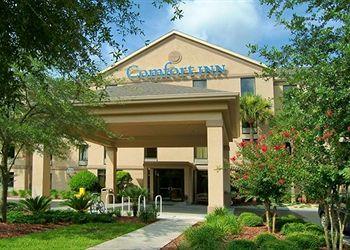 Comfort Inn University Gainesville Pet Policy