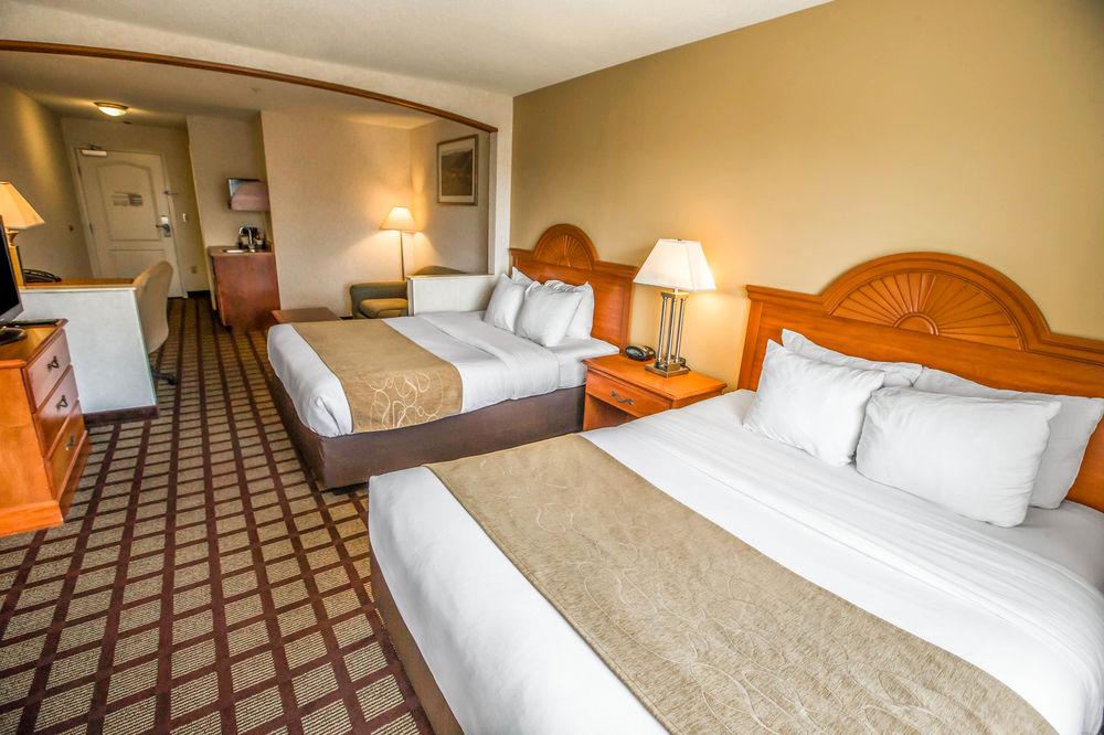 Comfort Suites Schaumburg Pet Policy