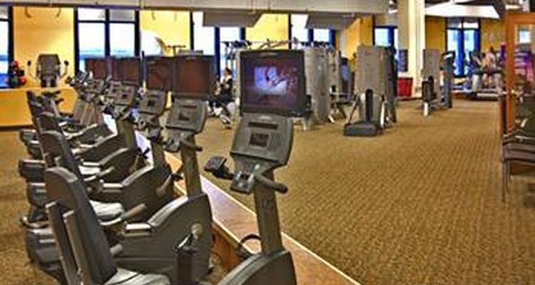 Hilton Garden Inn Baltimore Inner Harbor Pet Policy