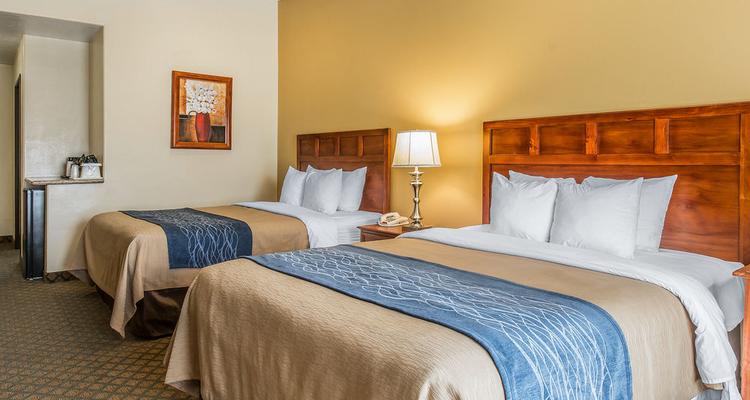 Comfort Inn Suites Cedar City Pet Policy