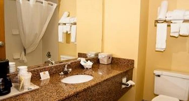 Best Western Inn Florence Pet Policy