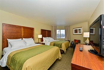 Comfort Inn University Pet Policy