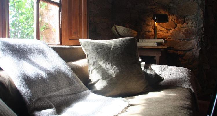 Hotel Fasano Punta Del Este Pet Policy