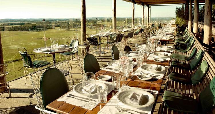 Hotel Fasano Punta Del Este Pet Policy