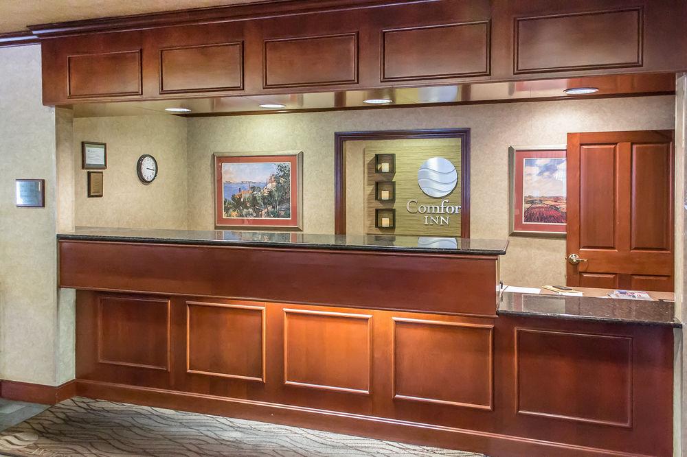 Comfort Inn Suites Austintown Pet Policy