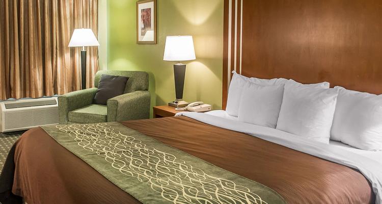 Comfort Inn Suites Austintown Pet Policy