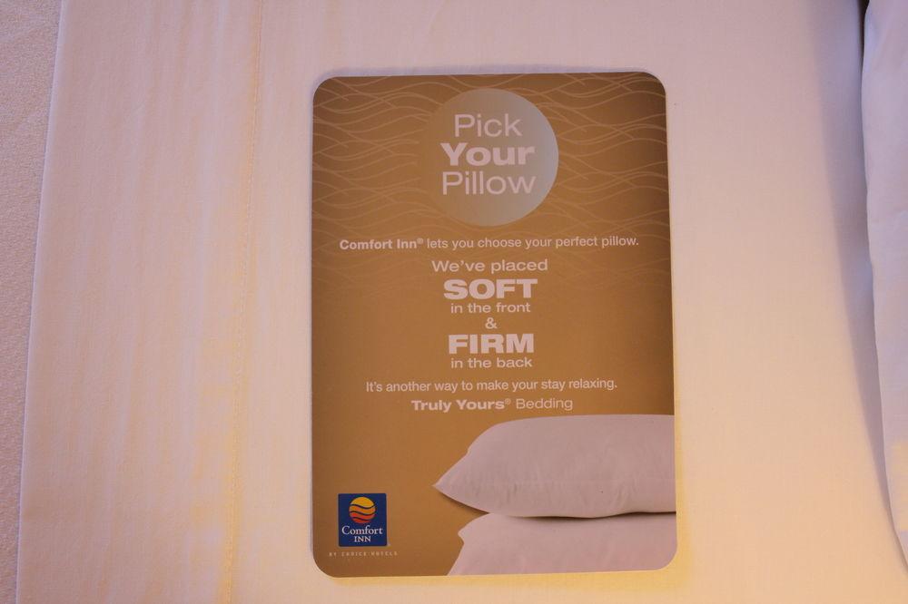 Comfort Inn Madison Downtown Pet Policy