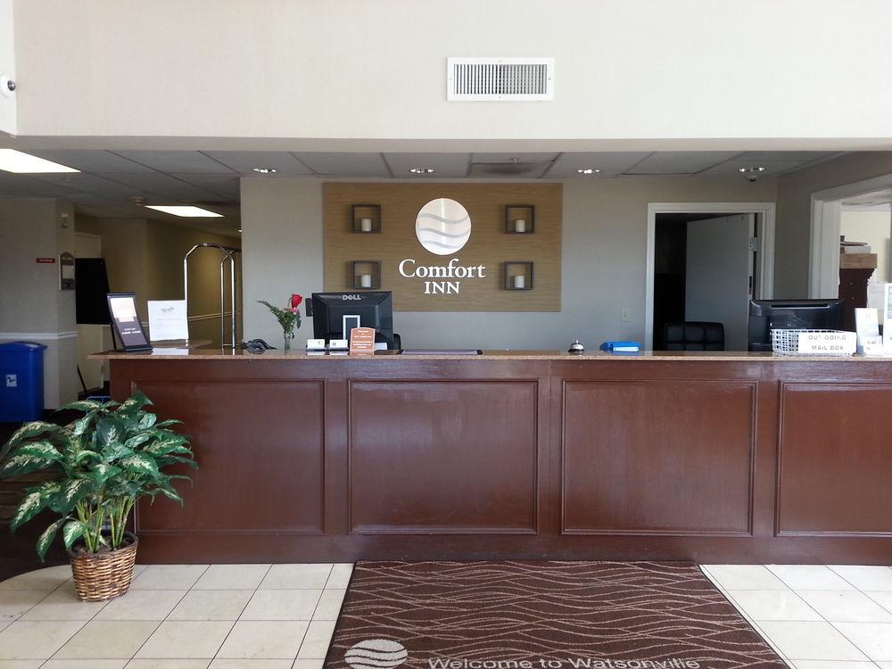 Comfort Inn Watsonville Pet Policy