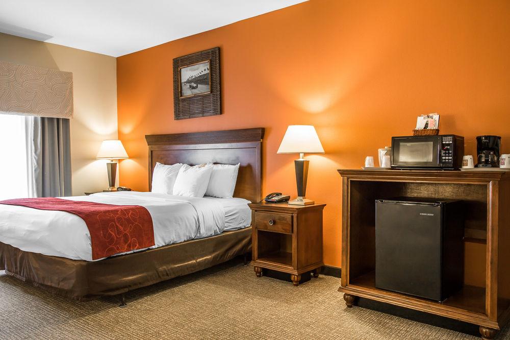 Comfort Suites Pelham Pet Policy