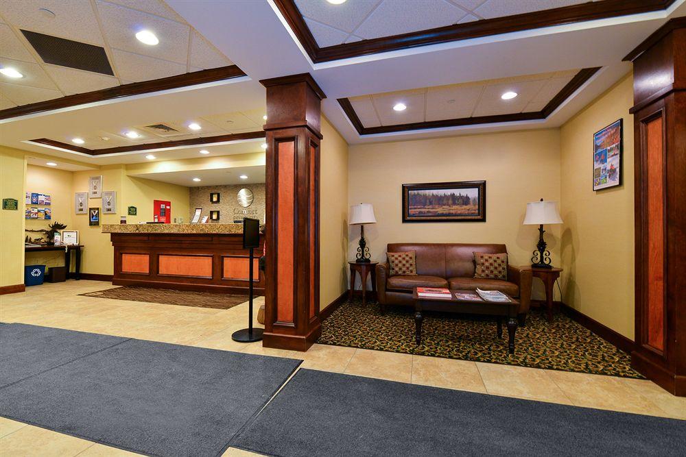 Comfort Inn Suites Wilton Pet Policy