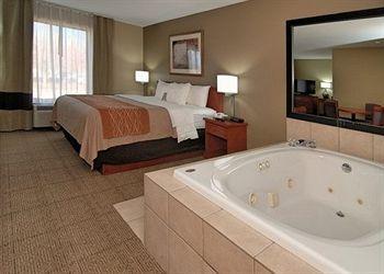 Comfort Inn Six Flags St Louis Pet Policy