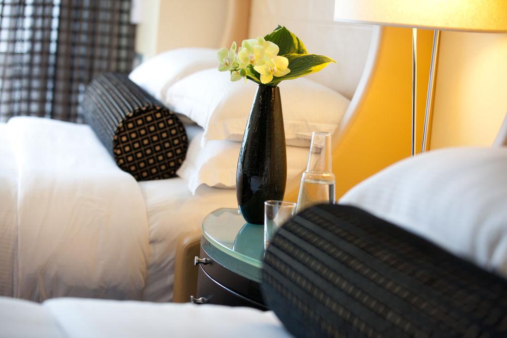 Pet Friendly Hotels In Boston Ma Bringfido
