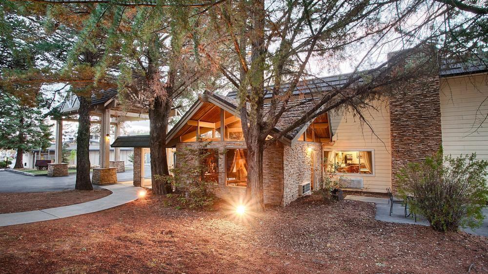 Dog Friendly Grass Valley Ca Bringfido