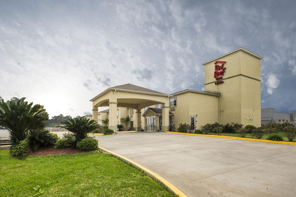 Pet Friendly Hotels In Lake Charles La Bringfido