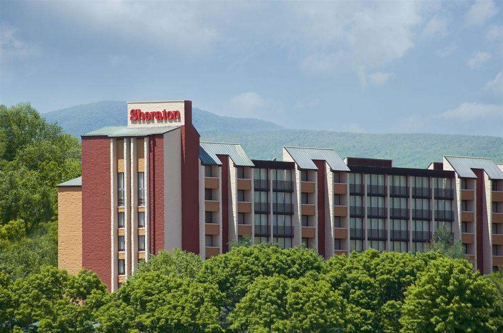 Sheraton Roanoke Hotel & Conference Center Pet Policy
