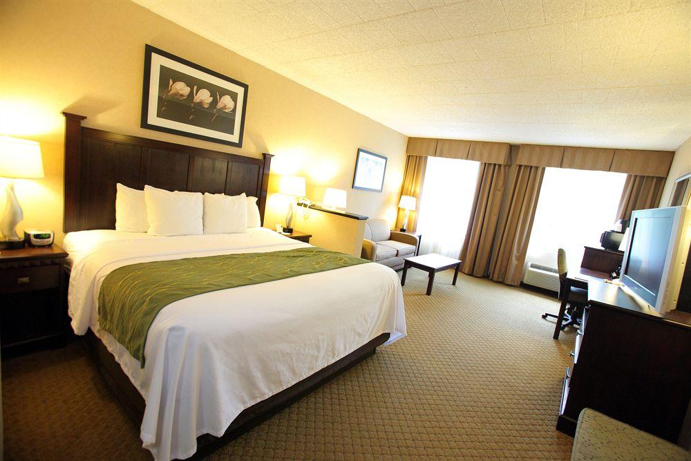 Comfort Inn And Suites Paramus Pet Policy