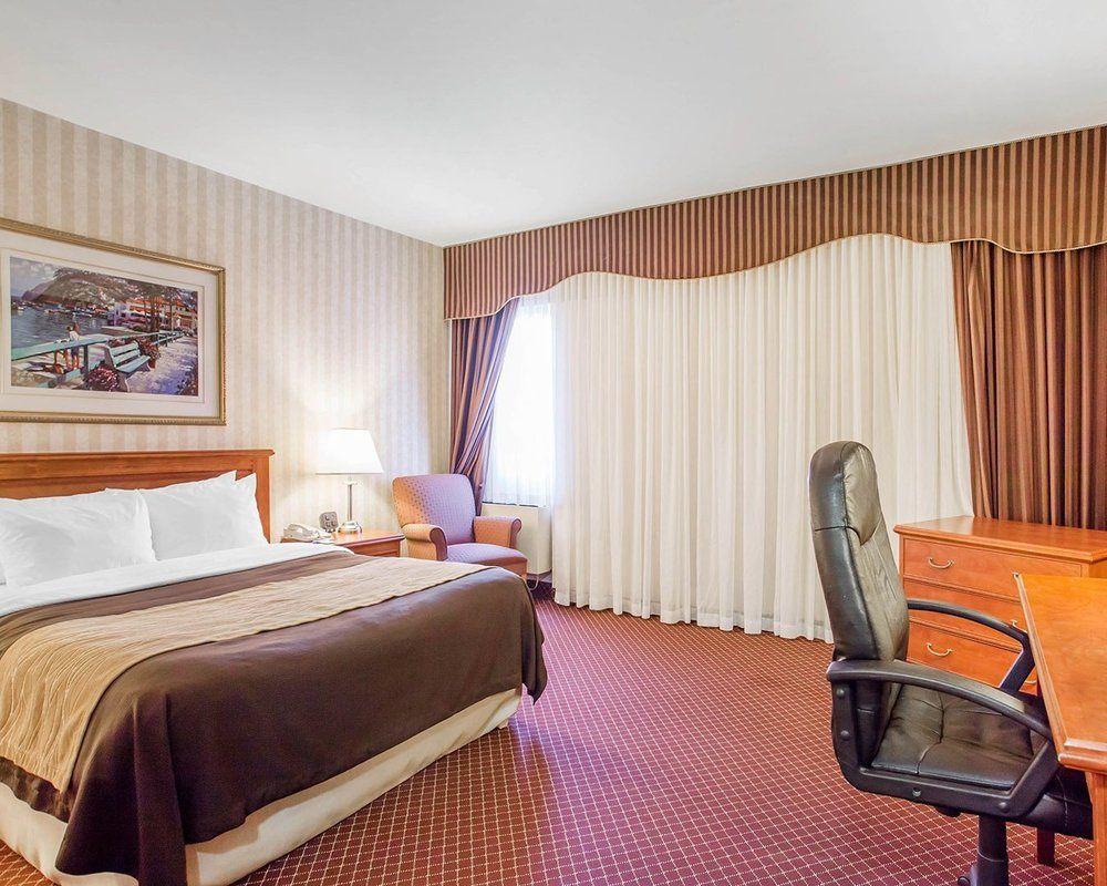 Comfort Inn Toronto Airport Pet Policy