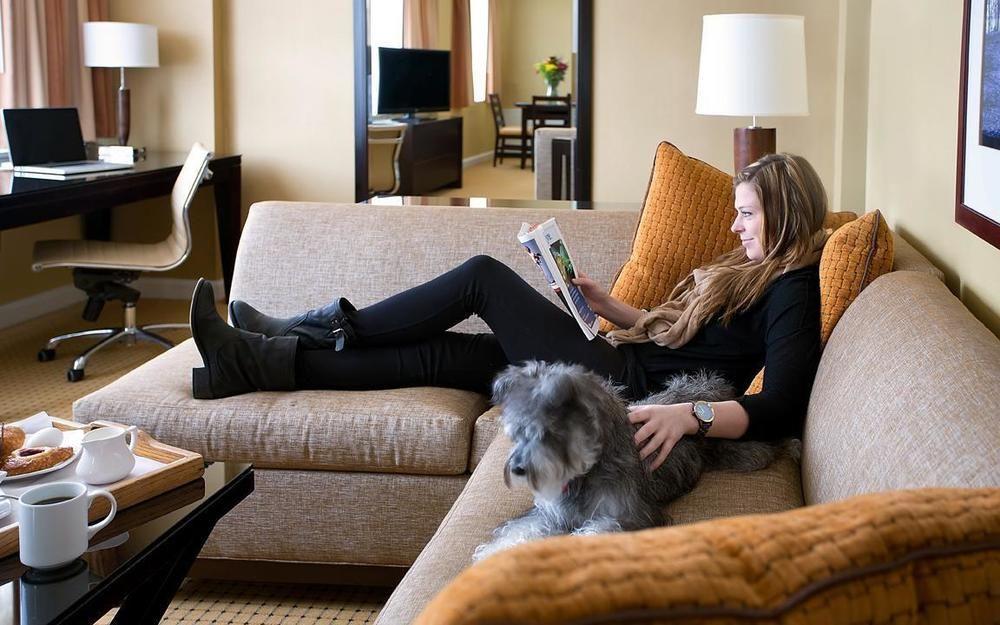 Pet Friendly Hotels In Washington Dc Bringfido