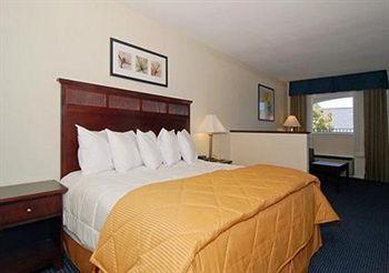 Quality Inn Williamsburg Pet Policy