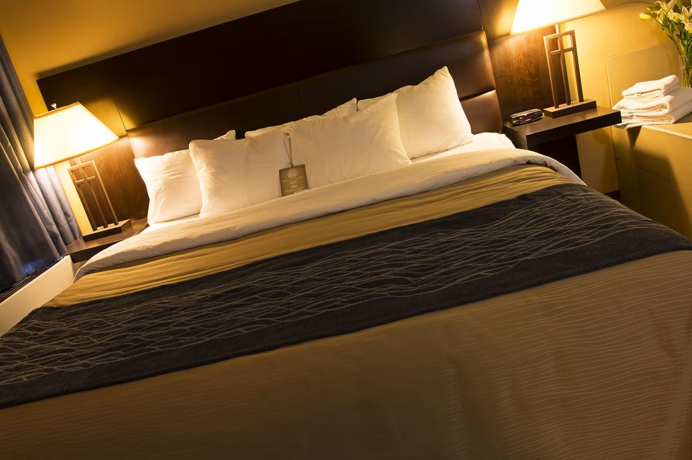 Comfort Inn St Thomas Pet Policy