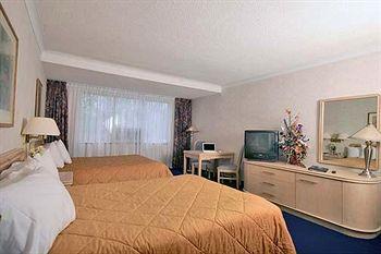 Comfort Inn Clifton Hill Pet Policy