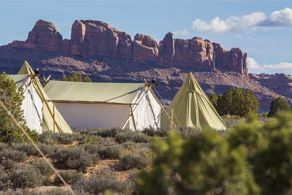 Under Canvas Moab Pet Policy