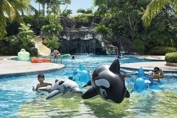 Orchid Country Club Pet Policy Orchid Country Club Pet Policy