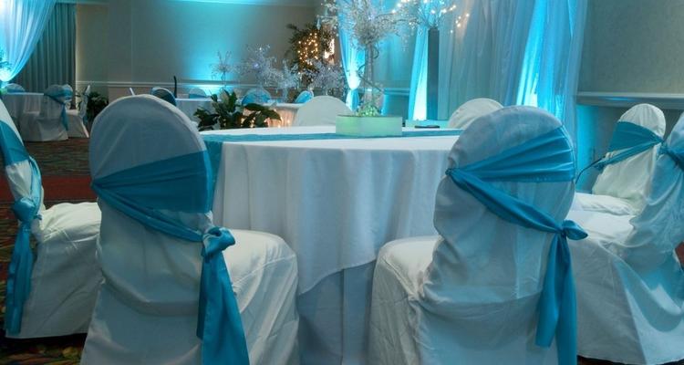 Hilton Garden Inn Tampa North Pet Policy