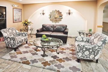 Pet Friendly Hotels In Las Vegas Nv Bringfido