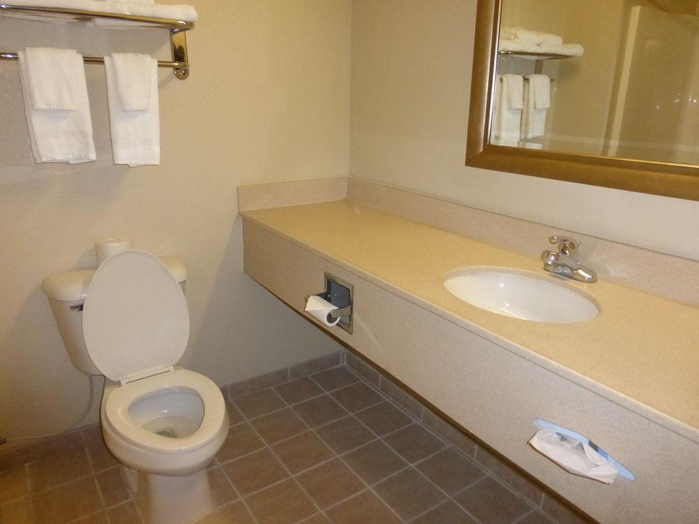 Pet Friendly Hotels In Yorktown Va Bringfido