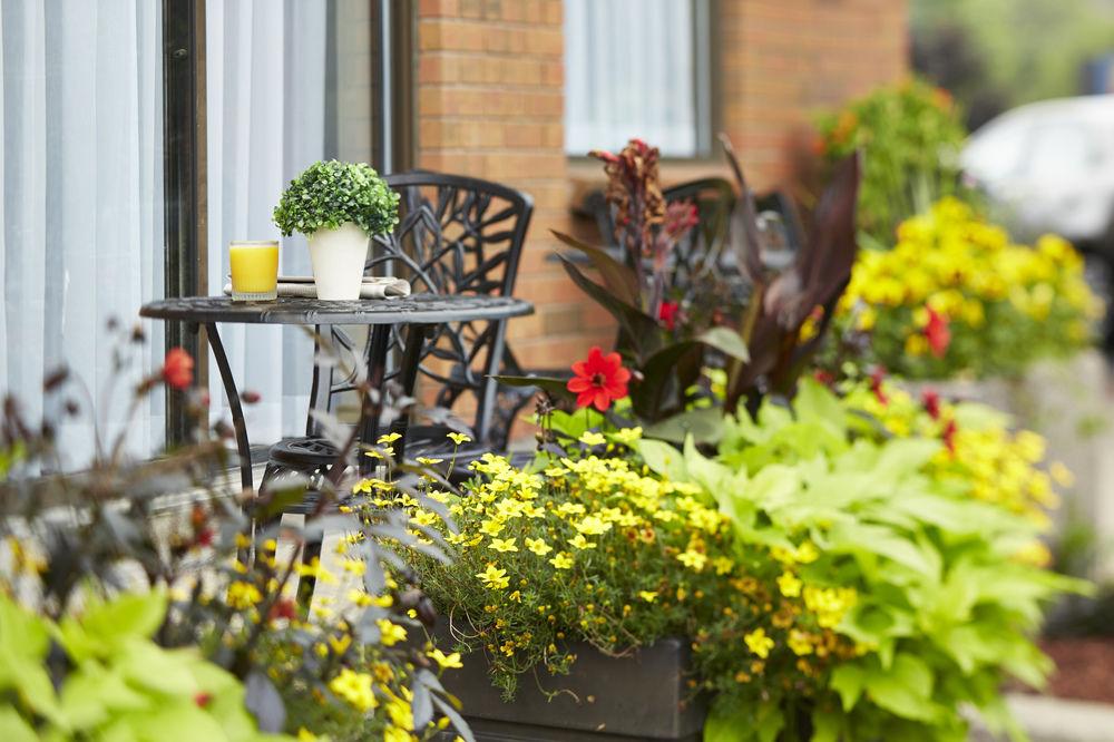 Comfort Inn Riviere Du Loup Pet Policy