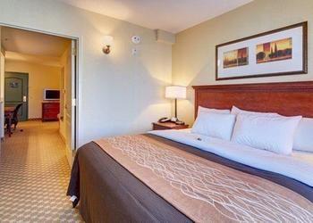 Comfort Inn Suites Daphne Pet Policy