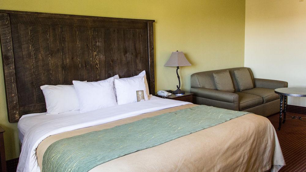 Comfort Inn I 17 I 40 Pet Policy