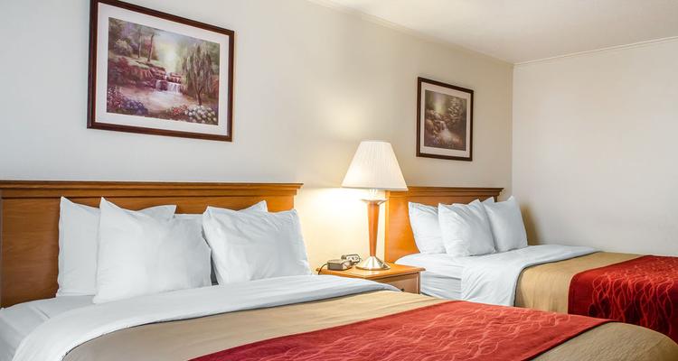 Comfort Inn Selinsgrove Pet Policy