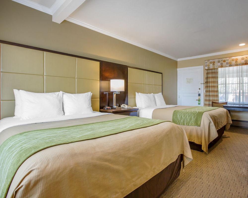 Comfort Inn Carmel By The Sea Pet Policy